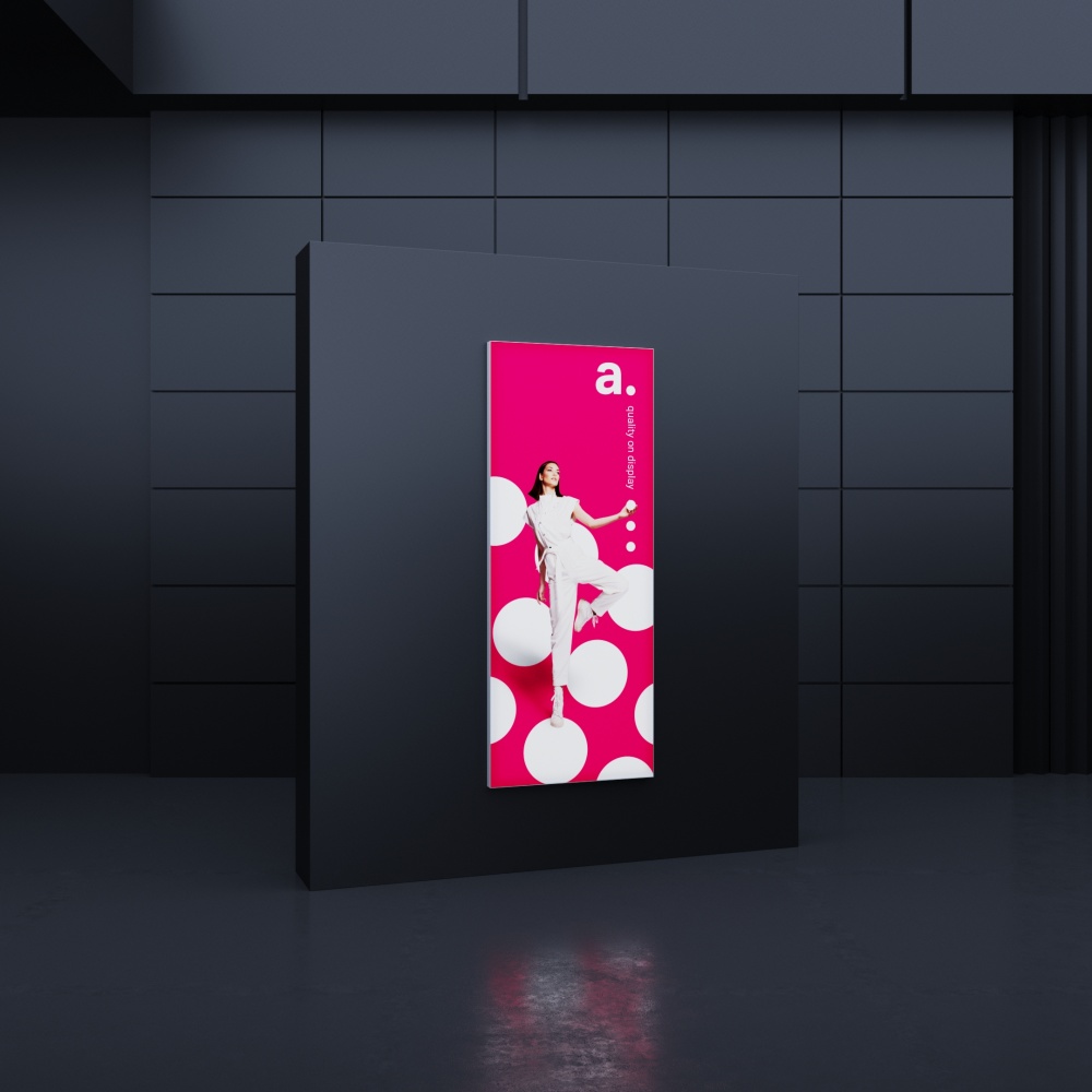 adFrame Poster 100x250